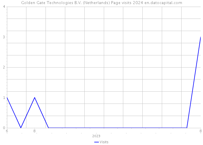 Golden Gate Technologies B.V. (Netherlands) Page visits 2024 