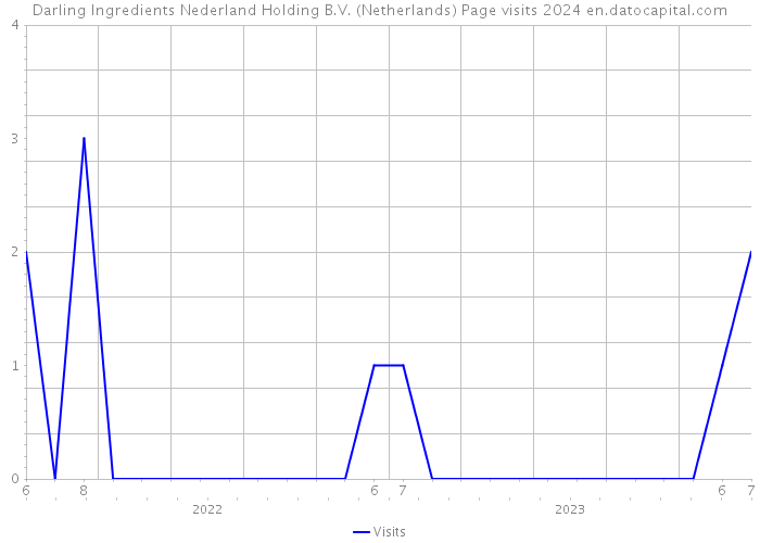Darling Ingredients Nederland Holding B.V. (Netherlands) Page visits 2024 