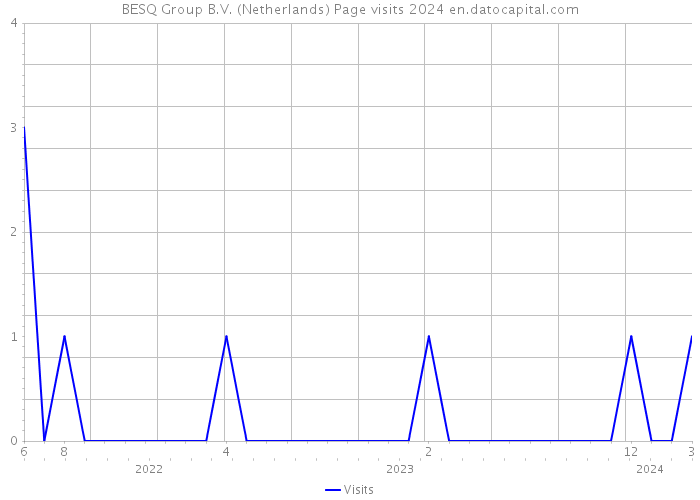 BESQ Group B.V. (Netherlands) Page visits 2024 