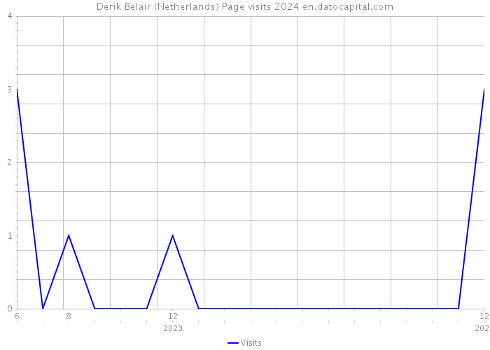 Derik Belair (Netherlands) Page visits 2024 