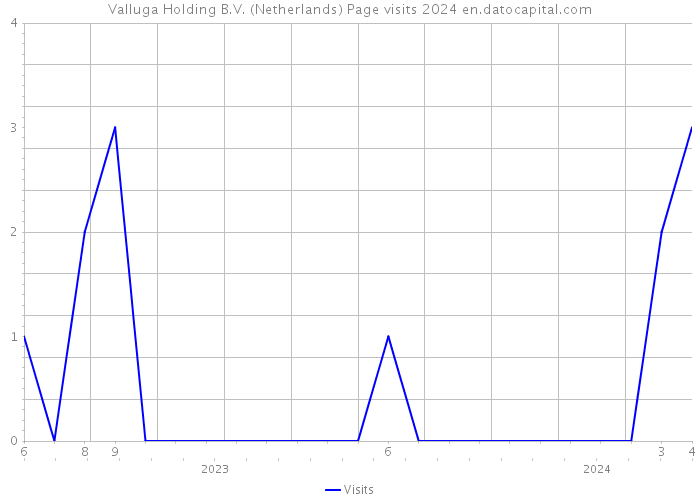 Valluga Holding B.V. (Netherlands) Page visits 2024 