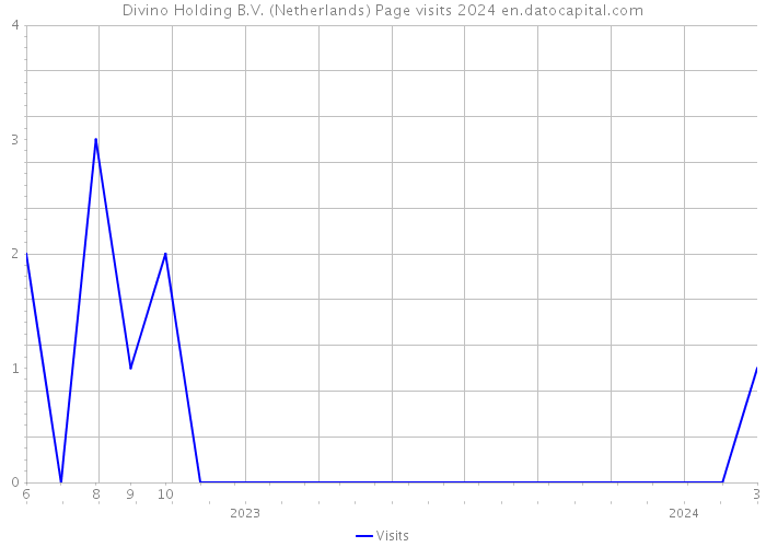 Divino Holding B.V. (Netherlands) Page visits 2024 