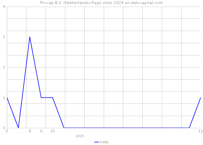 Procap B.V. (Netherlands) Page visits 2024 