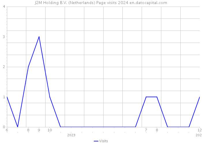 J2M Holding B.V. (Netherlands) Page visits 2024 
