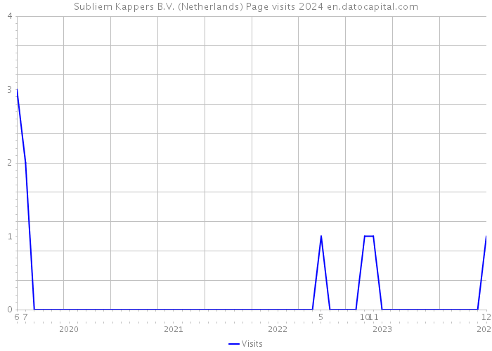 Subliem Kappers B.V. (Netherlands) Page visits 2024 