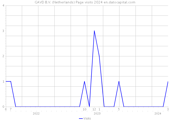 GAVD B.V. (Netherlands) Page visits 2024 
