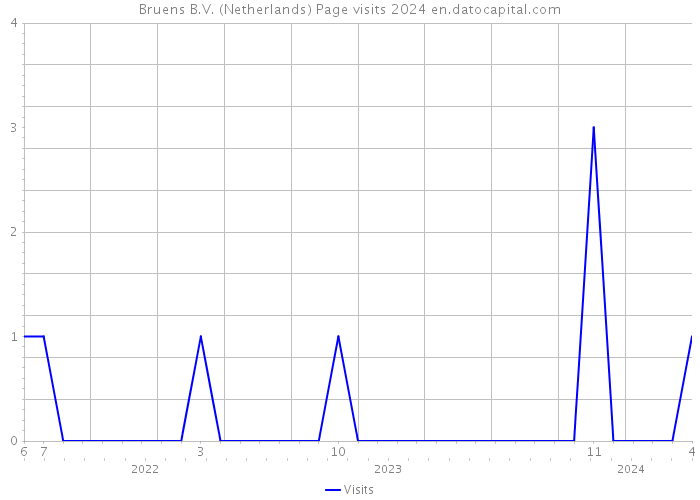 Bruens B.V. (Netherlands) Page visits 2024 