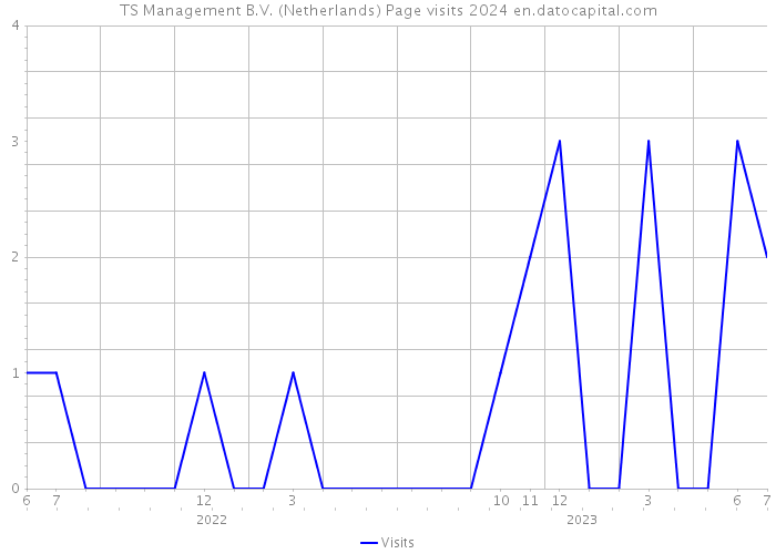 TS Management B.V. (Netherlands) Page visits 2024 