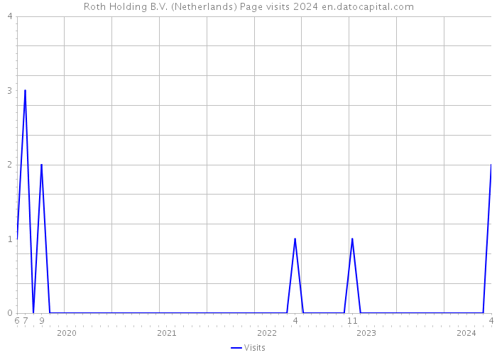 Roth Holding B.V. (Netherlands) Page visits 2024 