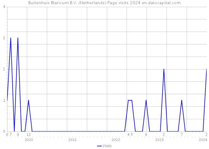Buitenhuis Blaricum B.V. (Netherlands) Page visits 2024 