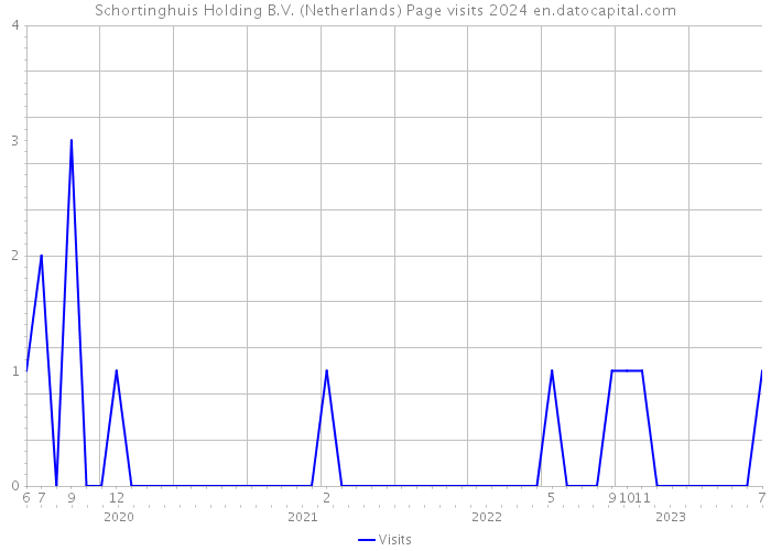 Schortinghuis Holding B.V. (Netherlands) Page visits 2024 