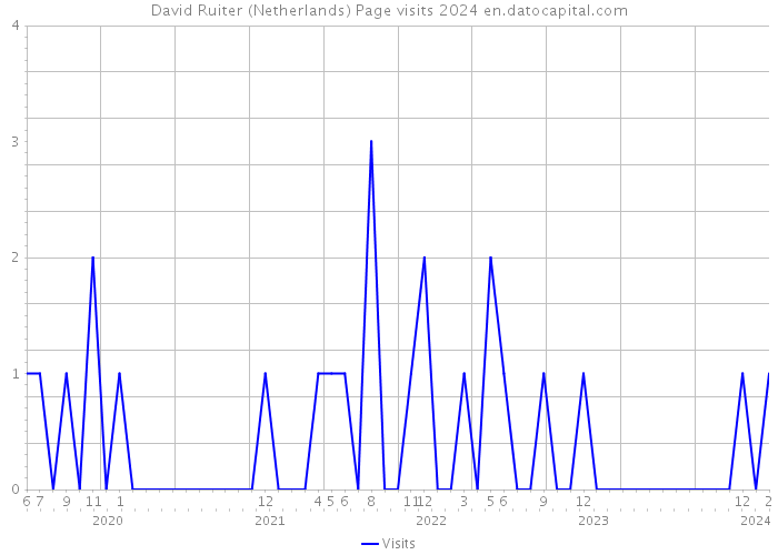David Ruiter (Netherlands) Page visits 2024 