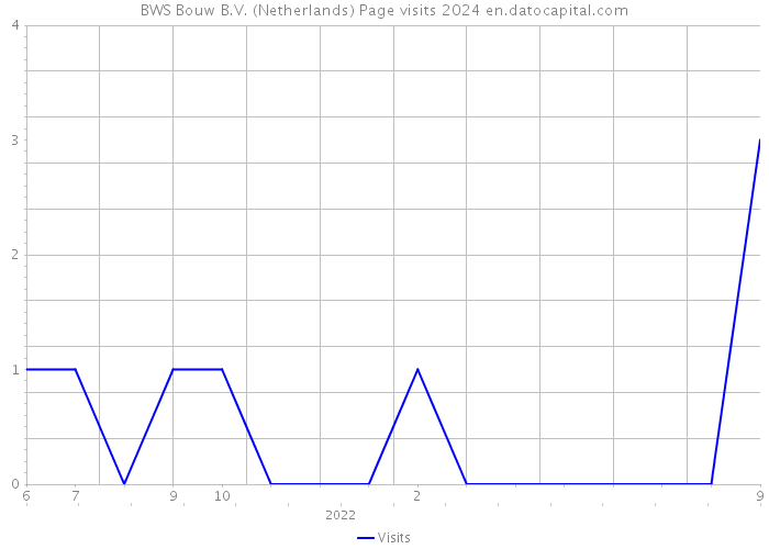 BWS Bouw B.V. (Netherlands) Page visits 2024 