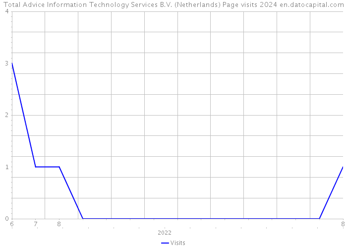 Total Advice Information Technology Services B.V. (Netherlands) Page visits 2024 
