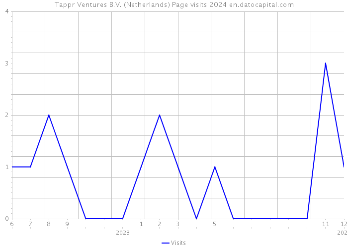 Tappr Ventures B.V. (Netherlands) Page visits 2024 