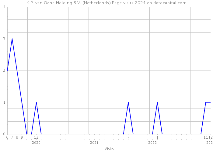 K.P. van Oene Holding B.V. (Netherlands) Page visits 2024 