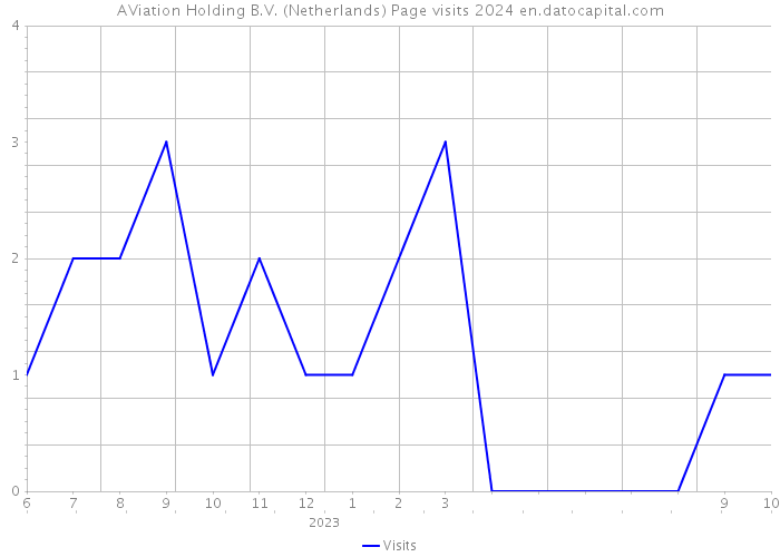 AViation Holding B.V. (Netherlands) Page visits 2024 