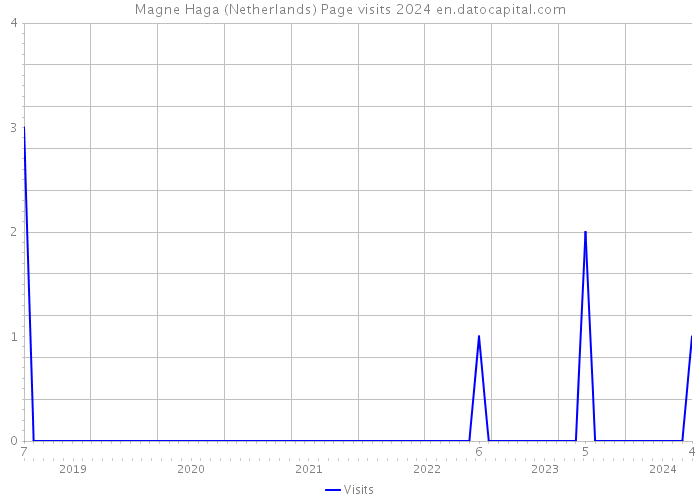 Magne Haga (Netherlands) Page visits 2024 