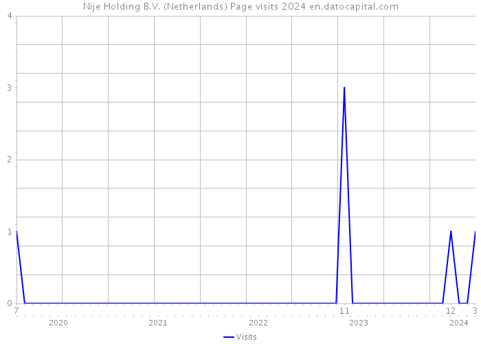 Nije Holding B.V. (Netherlands) Page visits 2024 