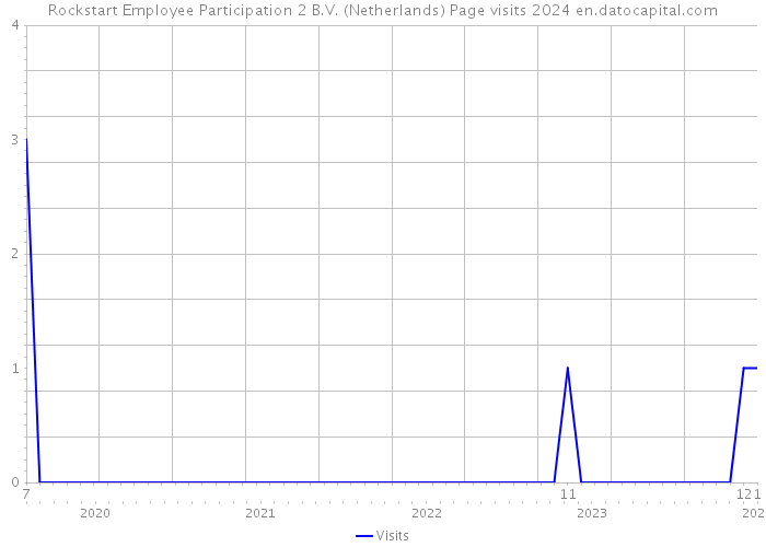 Rockstart Employee Participation 2 B.V. (Netherlands) Page visits 2024 