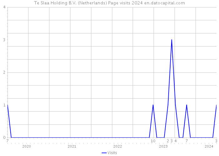 Te Slaa Holding B.V. (Netherlands) Page visits 2024 