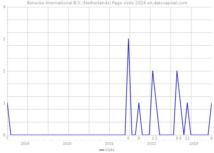 Benecke International B.V. (Netherlands) Page visits 2024 