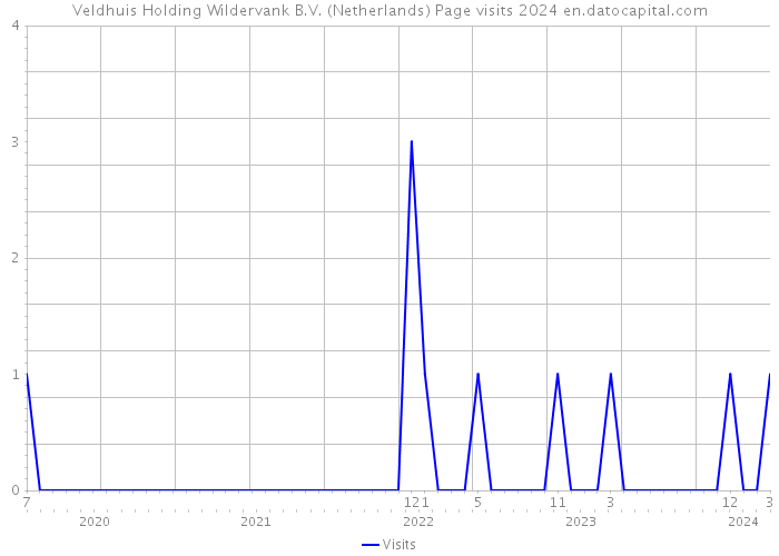 Veldhuis Holding Wildervank B.V. (Netherlands) Page visits 2024 