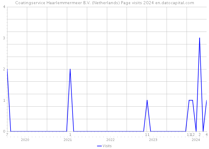 Coatingservice Haarlemmermeer B.V. (Netherlands) Page visits 2024 
