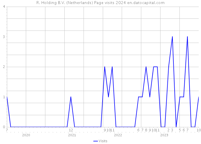 R. Holding B.V. (Netherlands) Page visits 2024 