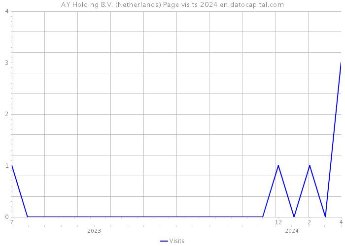 AY Holding B.V. (Netherlands) Page visits 2024 