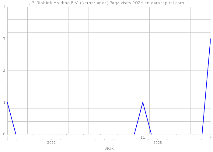 J.P. Ribbink Holding B.V. (Netherlands) Page visits 2024 