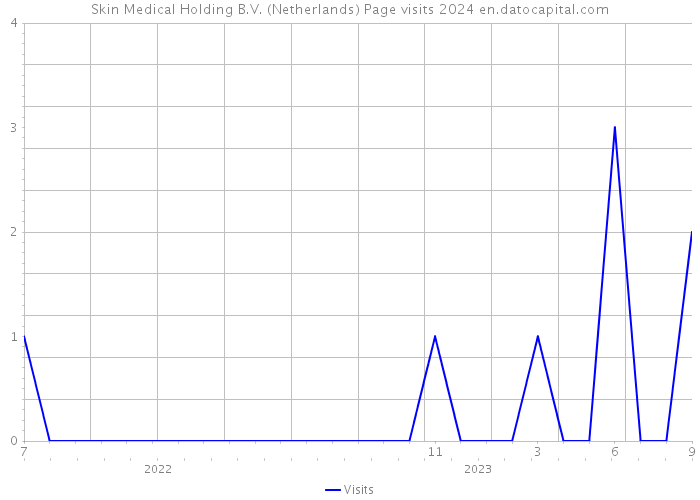 Skin Medical Holding B.V. (Netherlands) Page visits 2024 