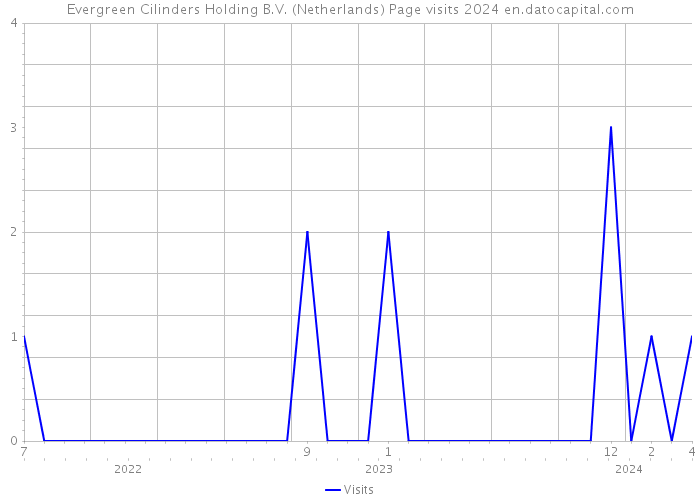 Evergreen Cilinders Holding B.V. (Netherlands) Page visits 2024 