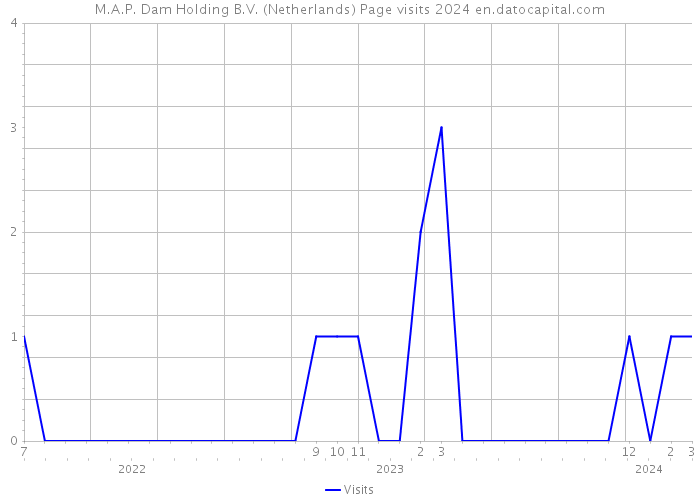 M.A.P. Dam Holding B.V. (Netherlands) Page visits 2024 