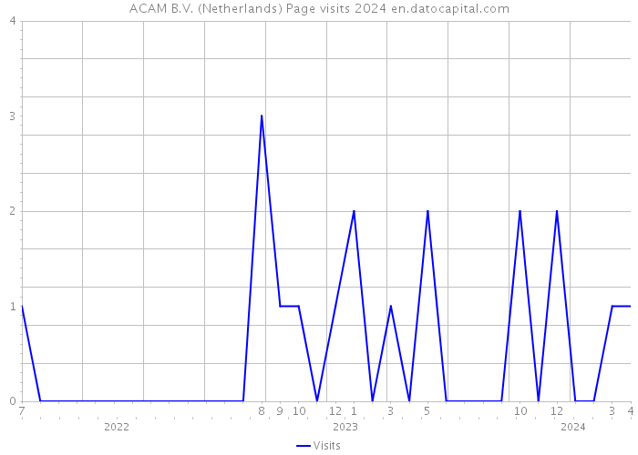 ACAM B.V. (Netherlands) Page visits 2024 