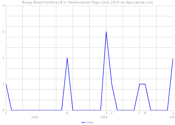 Bunge Brasil Holdings B.V. (Netherlands) Page visits 2024 