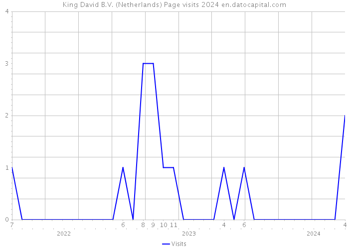 King David B.V. (Netherlands) Page visits 2024 