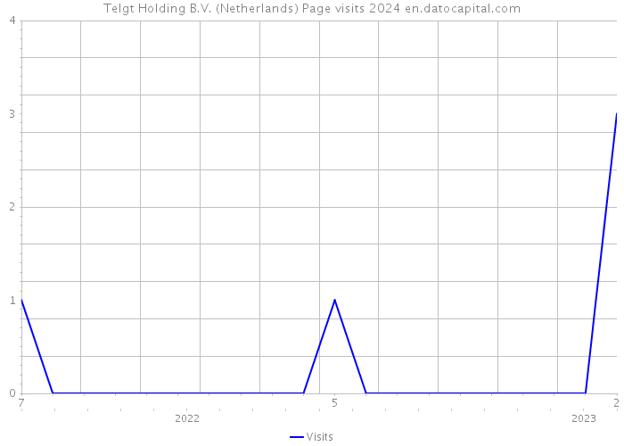 Telgt Holding B.V. (Netherlands) Page visits 2024 