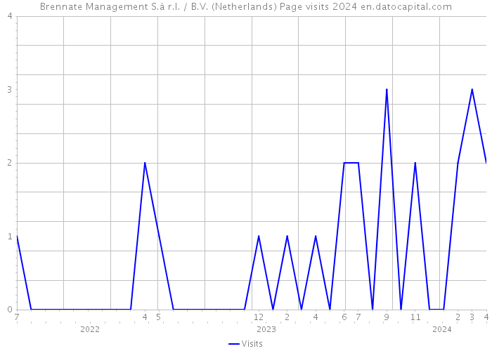 Brennate Management S.à r.l. / B.V. (Netherlands) Page visits 2024 