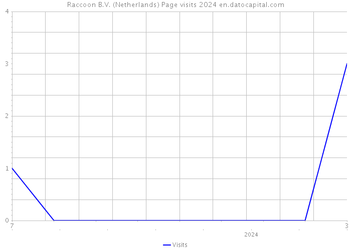 Raccoon B.V. (Netherlands) Page visits 2024 