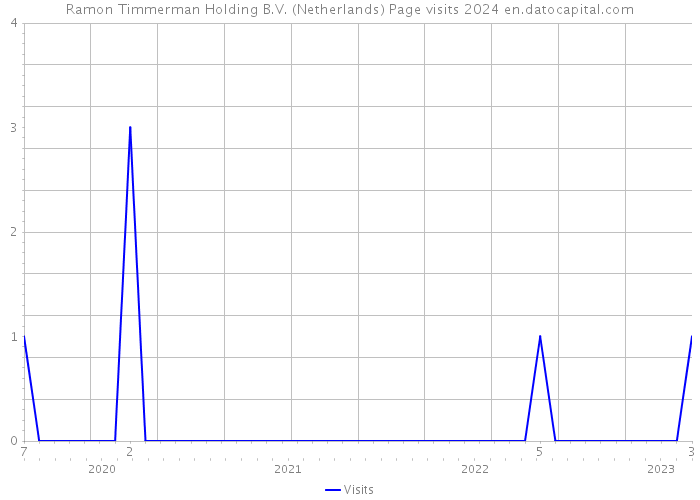 Ramon Timmerman Holding B.V. (Netherlands) Page visits 2024 