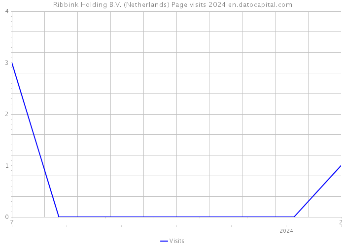 Ribbink Holding B.V. (Netherlands) Page visits 2024 