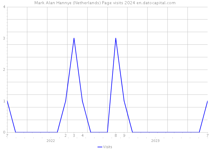 Mark Alan Hannye (Netherlands) Page visits 2024 