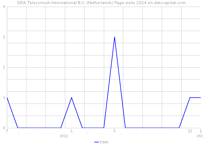 DDA Teleconsult International B.V. (Netherlands) Page visits 2024 