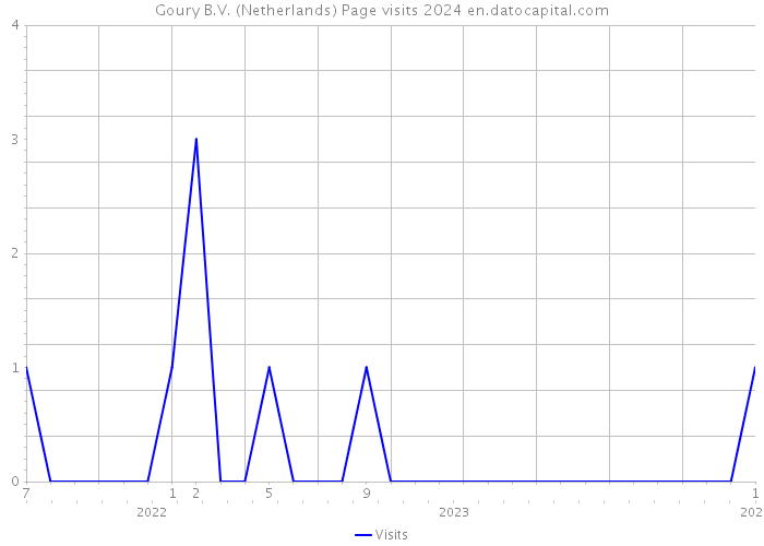 Goury B.V. (Netherlands) Page visits 2024 