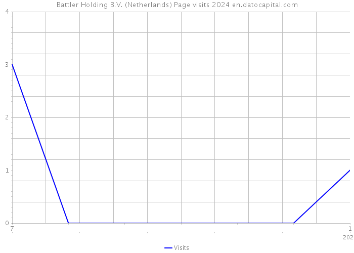 Battler Holding B.V. (Netherlands) Page visits 2024 