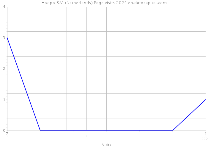 Hoopo B.V. (Netherlands) Page visits 2024 