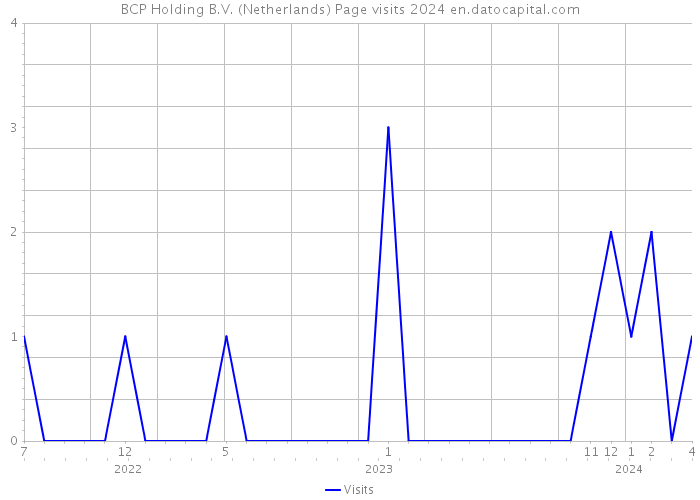 BCP Holding B.V. (Netherlands) Page visits 2024 
