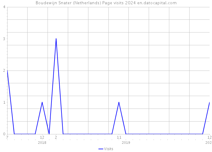 Boudewijn Snater (Netherlands) Page visits 2024 