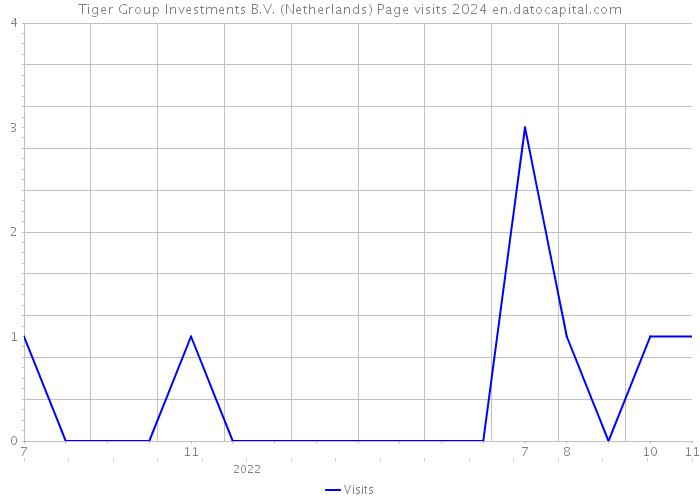 Tiger Group Investments B.V. (Netherlands) Page visits 2024 